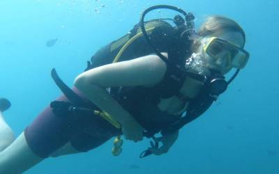 padi open water driver padi open water driver