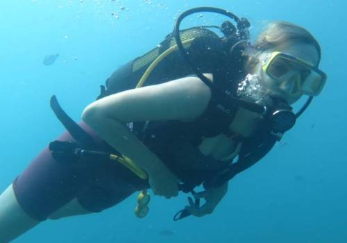 padi open water driver padi open water driver